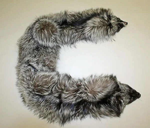 Scarf — Unknown