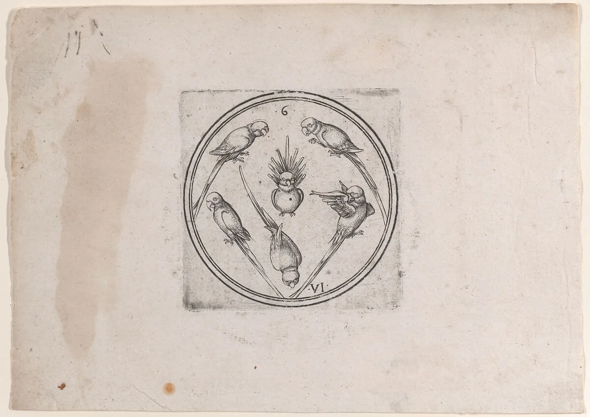 The Six of Parrots, from the series of round playing cards — Master PW of Cologne