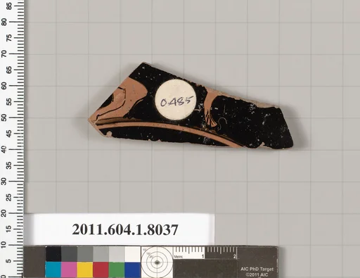 Terracotta fragment of a kylix (drinking cup)