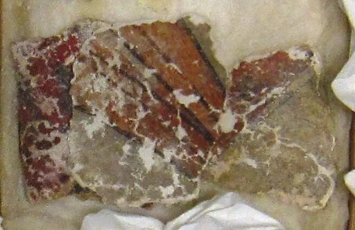Fragment