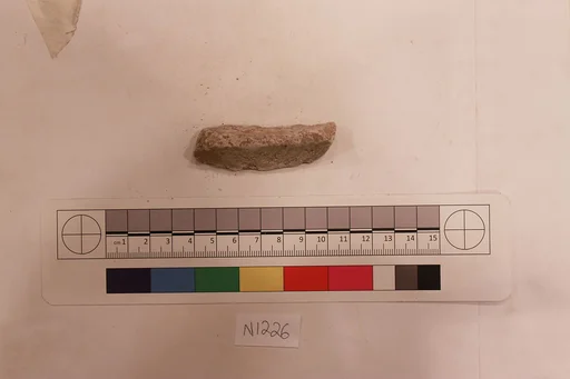Stucco Fragment