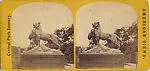 [21 Stereographic Views of Lioness and Cubs Statue, Central Park, New York]