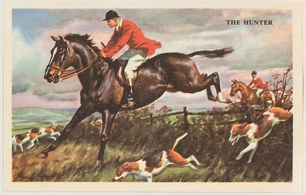 The Hunter, bakery card from the Horses series (D39-5), issued by the Gordon Bread Company — Gordon Bread Company