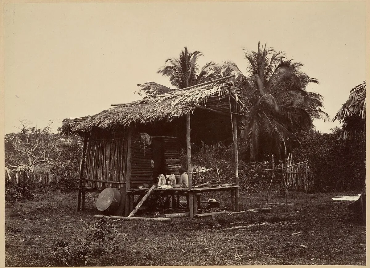 Tropical Scenery, Native Hut, Turbo — John Moran
