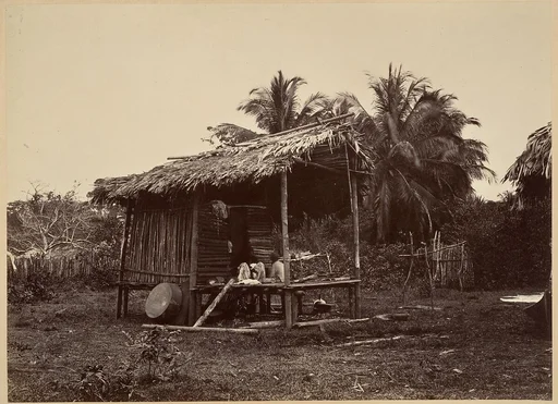 Tropical Scenery, Native Hut, Turbo