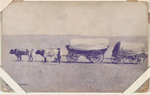 An ox team supply wagon from Indians and Western Scenes series (W417) — Unknown