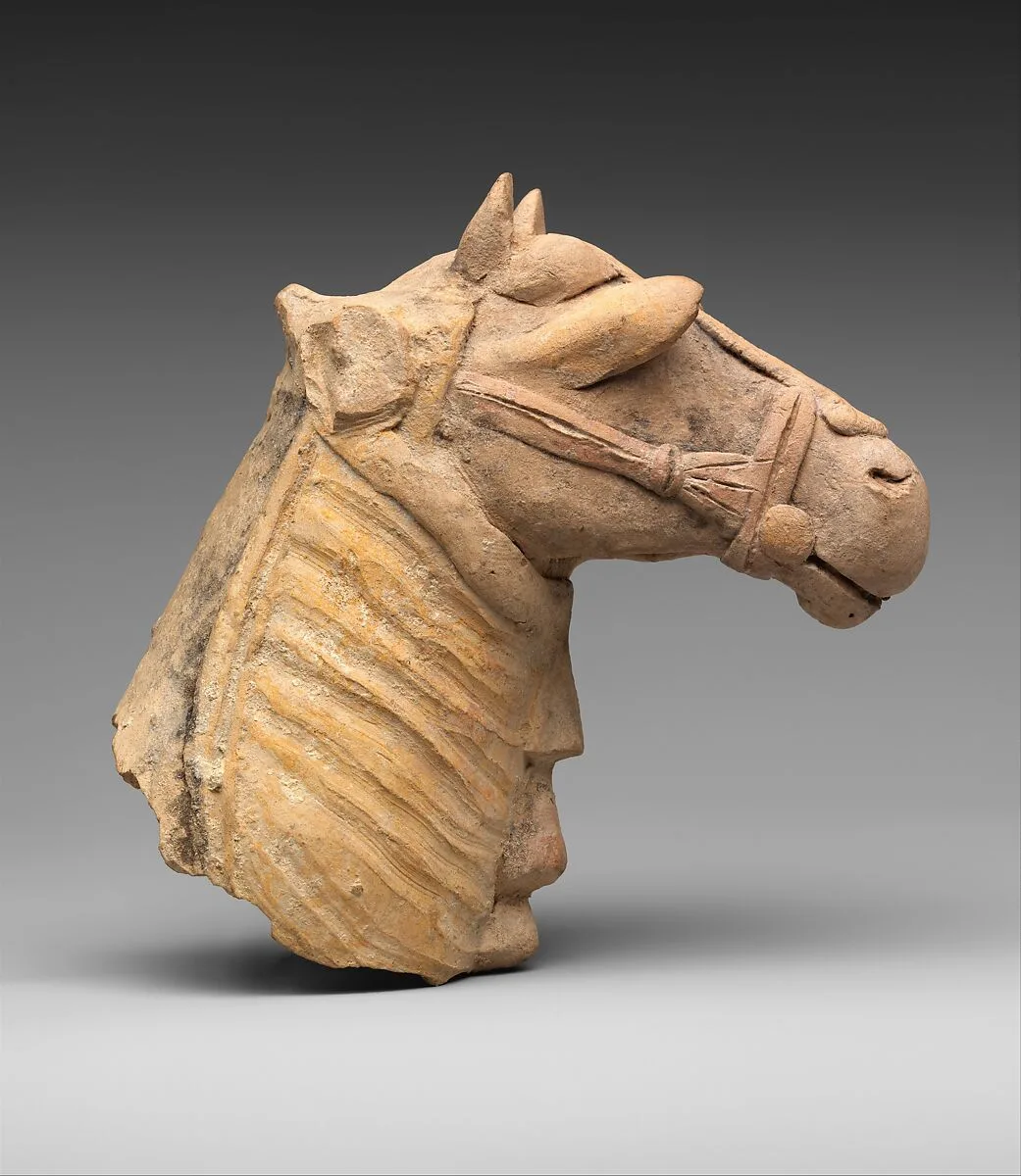 Horse's head with harness — Unknown