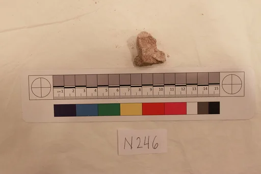 Stucco Fragment