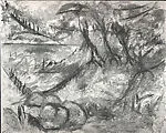 Puerto Rican Landscape
