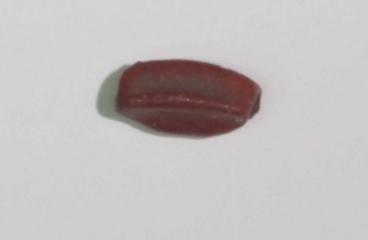 Inlay element from shrine — Unknown