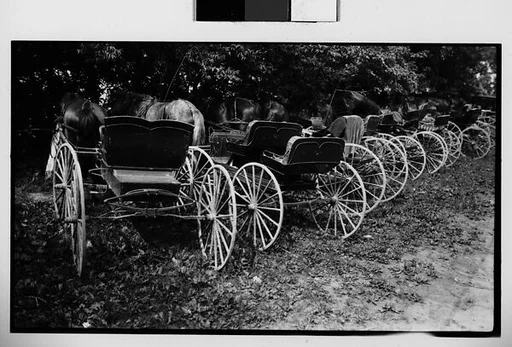 [Row of Horse-Drawn Carriages, Quebec, Canada]