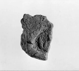 Document Sealing With the Throne Name of Amenhotep III — Unknown