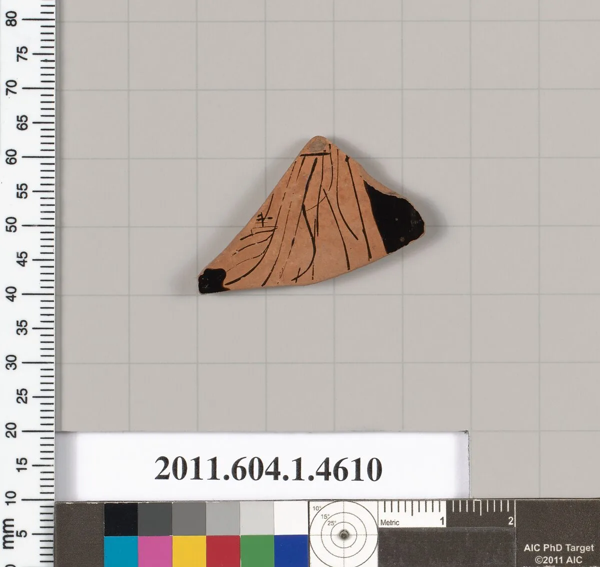 Terracotta fragment of a kylix (drinking cup) — Unknown