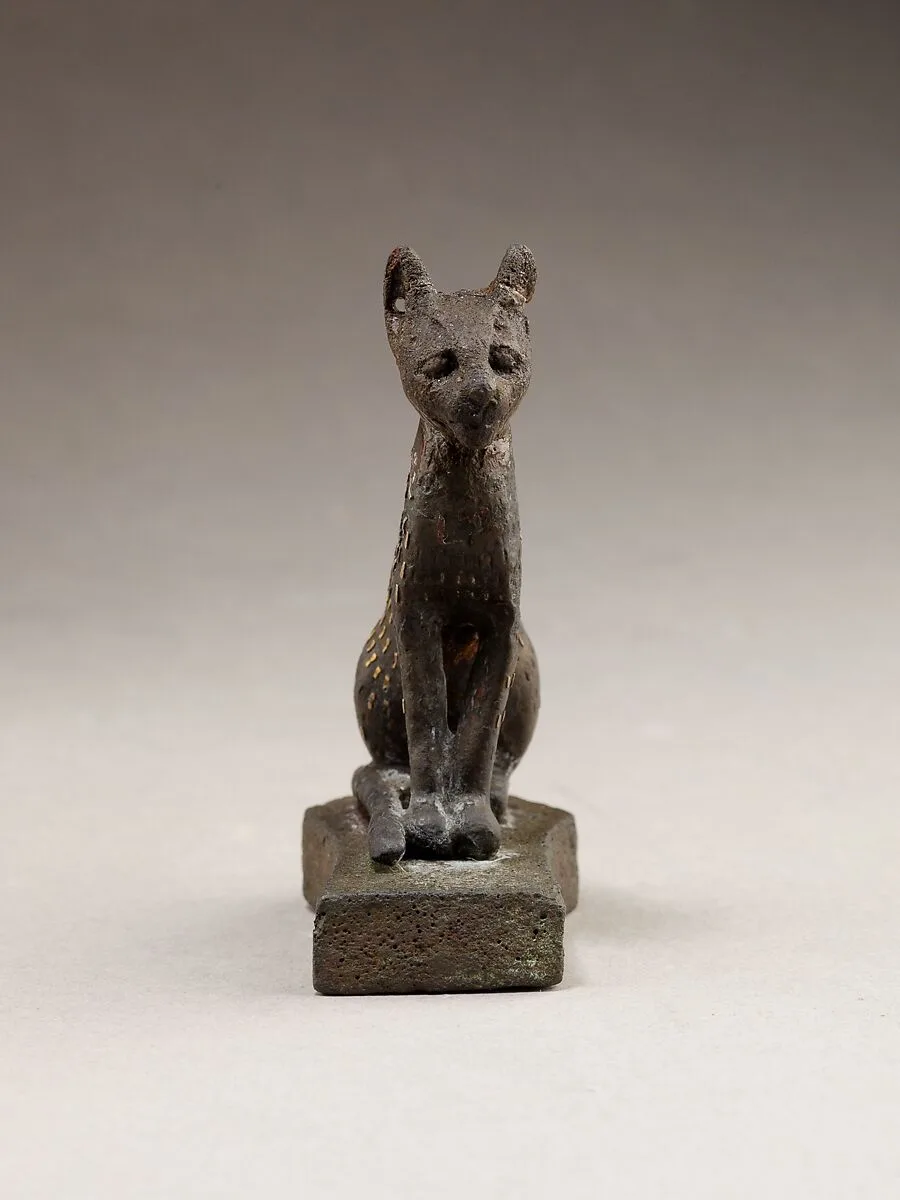 Cat — Unknown