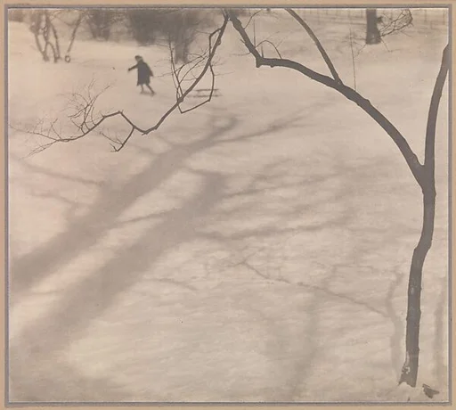 Winter, Central Park, New York
