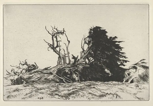 Fallen Centuries — Ernest Haskell