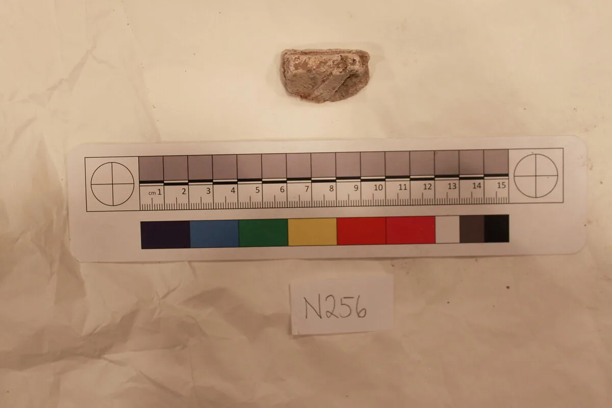 Stucco Fragment — Unknown