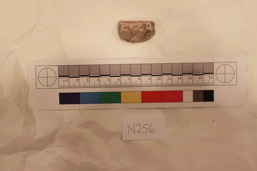 Stucco Fragment