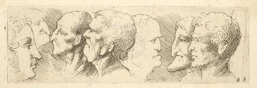 Head studies