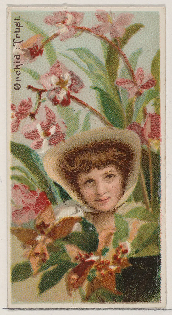 Orchid: Trust, from the series Floral Beauties and Language of Flowers (N75) for Duke brand cigarettes — Donaldson Brothers|American Tobacco Company