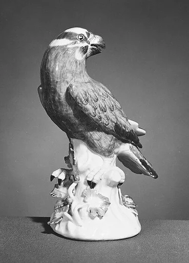 Parrot
