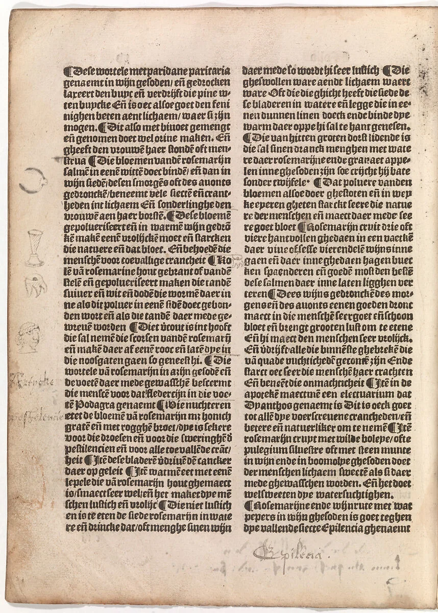 De(n) grote(n) herbari met al sijn figuere(n) — Claes de Grave
