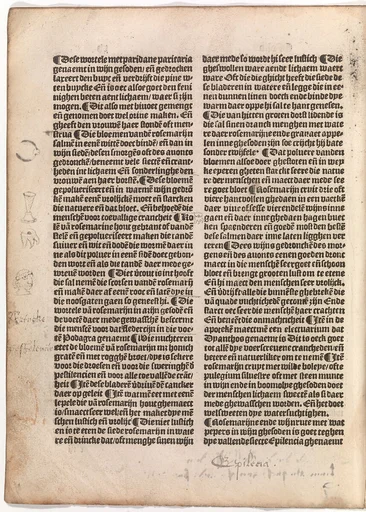 De(n) grote(n) herbari met al sijn figuere(n)