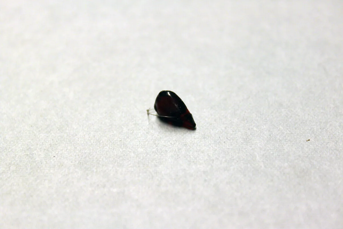 Beads — Unknown