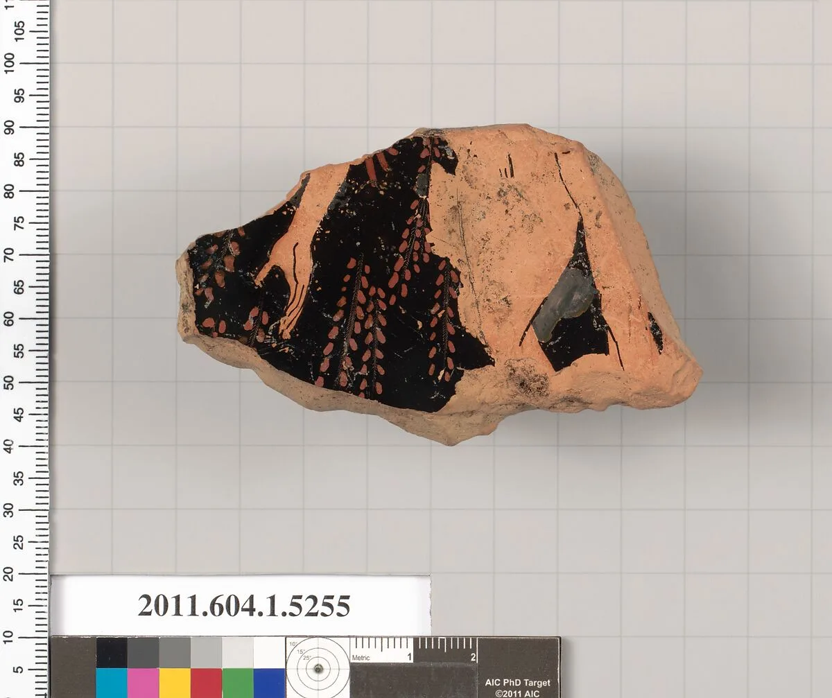 Terracotta fragment of a kylix (drinking cup) — Unknown