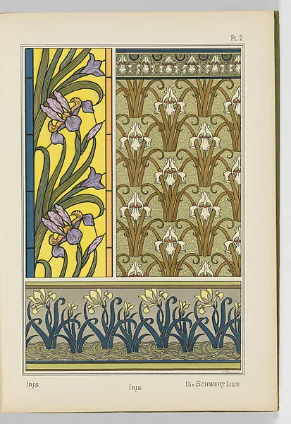 Plants and Their Application to Ornament...in twelve monthly parts — Eugène-Samuel Grasset|Chapman and Hall|Maurice-Pillard Verneuil|E. Hervegh|Marcel Mangin|Camille-Gabrielle Schlumberger|Anna Martin|J. Milesi|Marcelle Gaudin|Georges Bourgeot|A. Poidevin