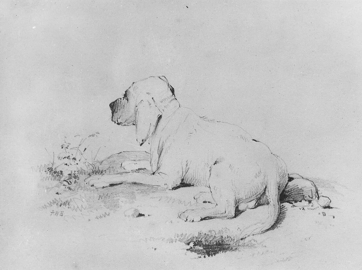 Dog (from McGuire Scrapbook) — Francis William Edmonds
