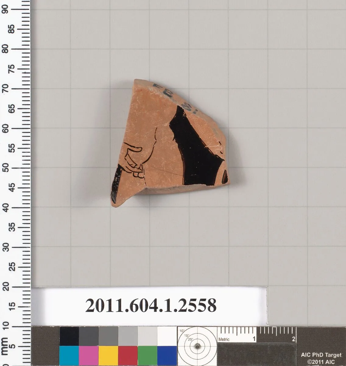 Terracotta fragment of a kylix (drinking cup) — Unknown