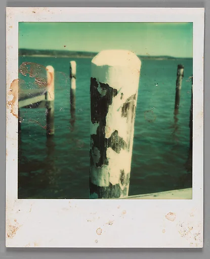 [Dock Pilings]
