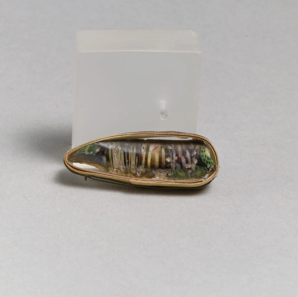 Glass mosaic fragment — Unknown
