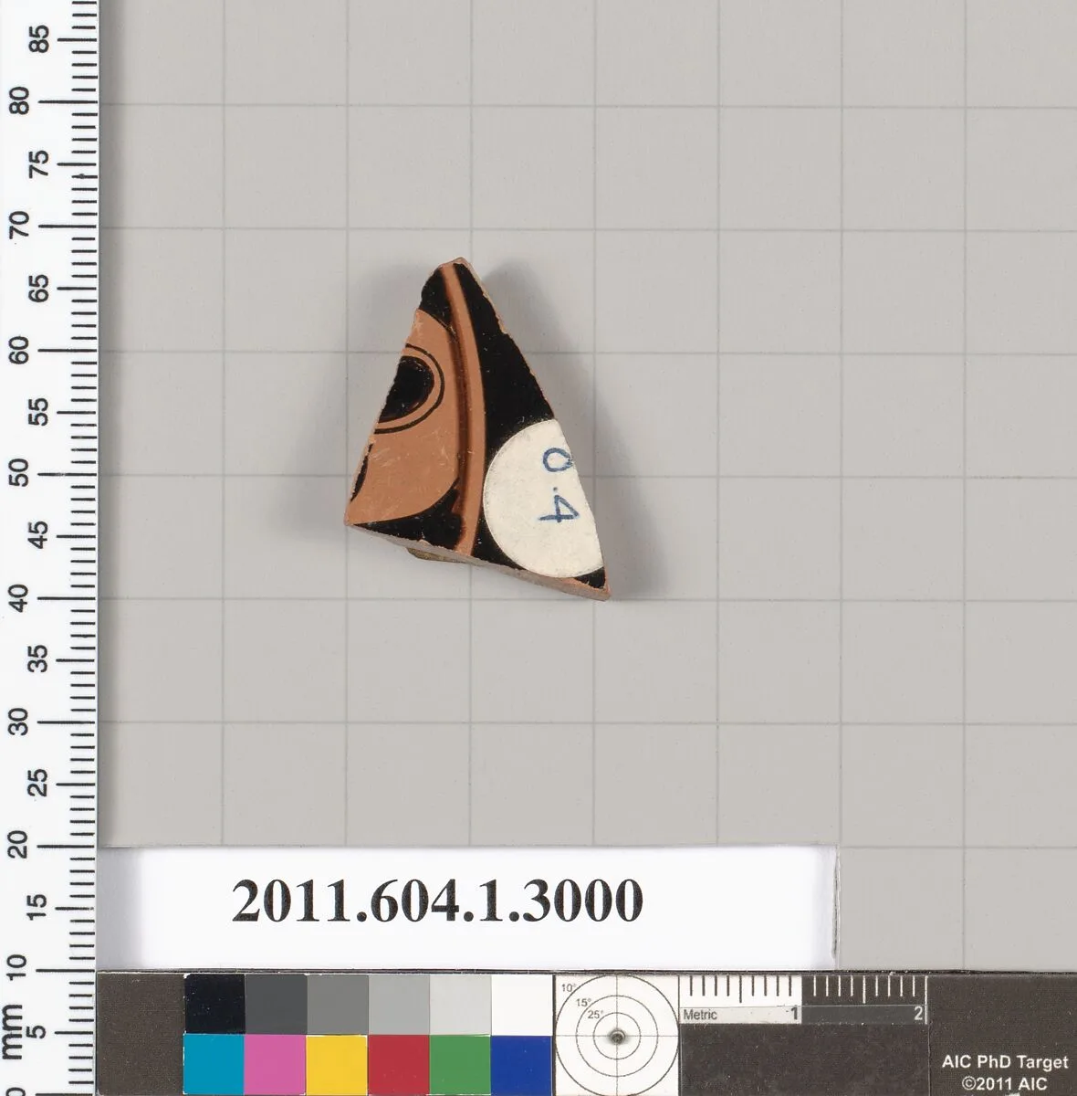 Terracotta fragment of a kylix (drinking cup) — Unknown