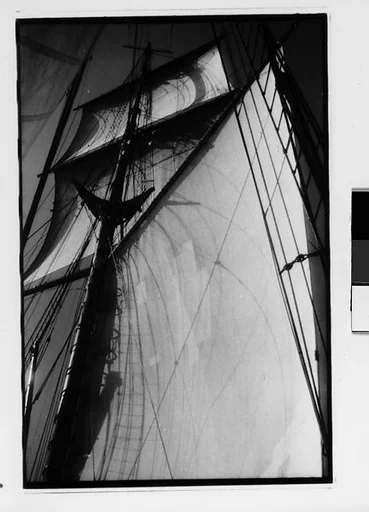 [Three 35mm Film Frames: South Seas: Cressida Sails, Mast, and Rigging]