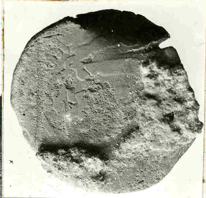 Coin — Unknown