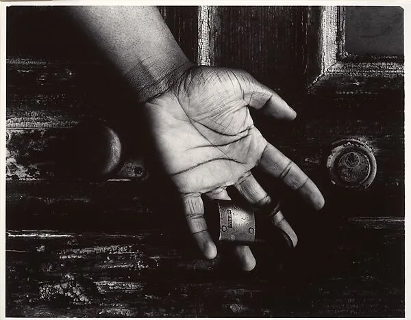 Untitled — Shedrich Williames