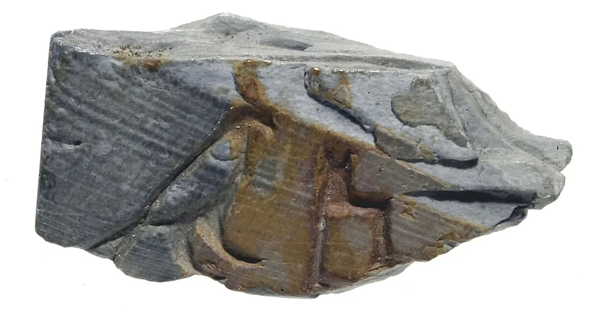 Fragment of an ivory tag — Unknown
