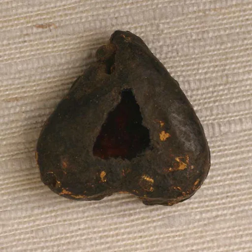 Plaque for a Collar or Necklace