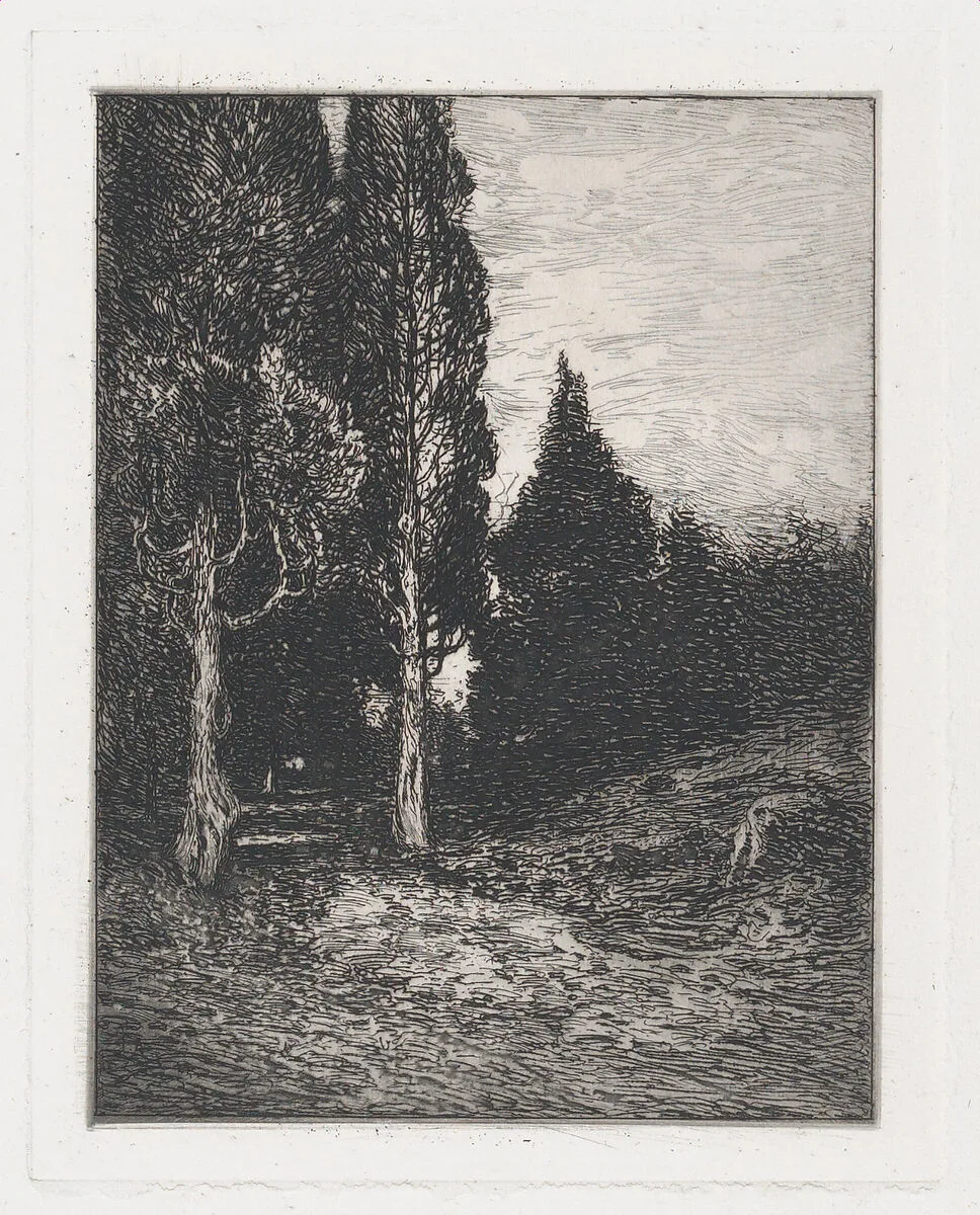 Landscape — Frank Anderson