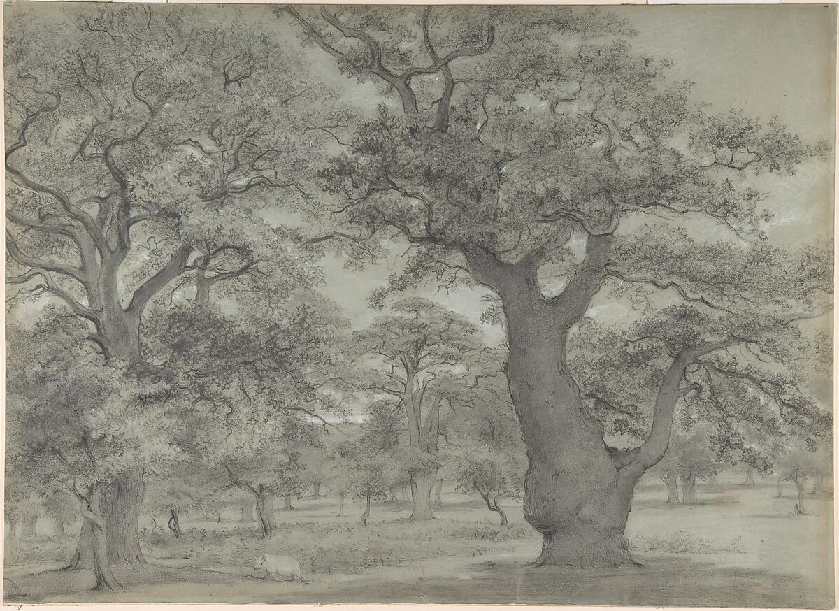Oak Forest with a Pig — John Baptist Malchair|Anonymous, British, 19th century
