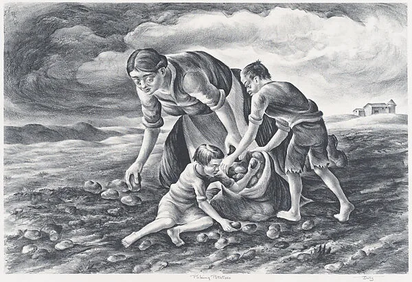 Picking Potatoes — Hugh Botts|WPA