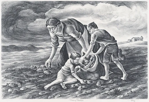 Picking Potatoes