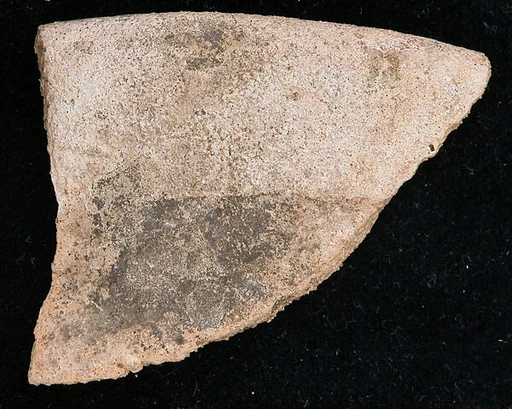 Fragment