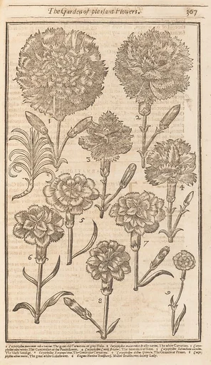 The Compleat Gardeners Practice, Directing the Exact Way of Gardening in three Parts.