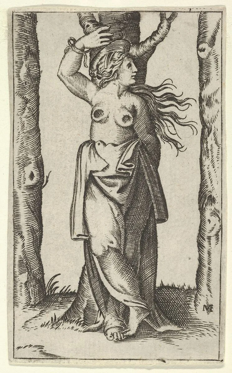 Saint Agatha tied to a tree, her breasts have been cut off, from the series 'Piccoli Santi' (Small Saints) — Marcantonio Raimondi|Anonymous