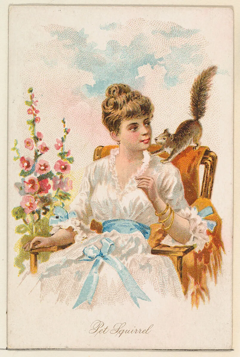 Pet Squirrel, from the Household Pets series (N194) issued by Wm. S. Kimball & Co. — William S. Kimball & Company|Julius Bien & Co.|American Tobacco Company