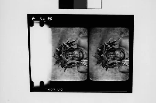 [South Seas: Two Motion Picture Film Frames of Man]