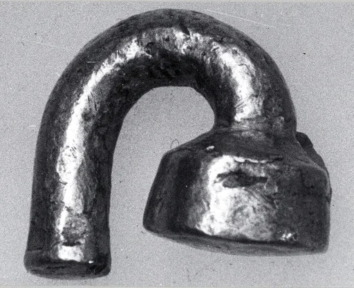 Nose Ornament